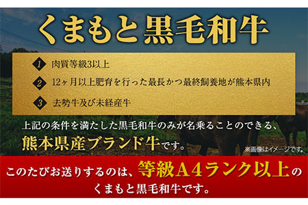 くまもと 黒毛和牛 ローストビーフ用 赤身ブロック 500g 黒毛和牛