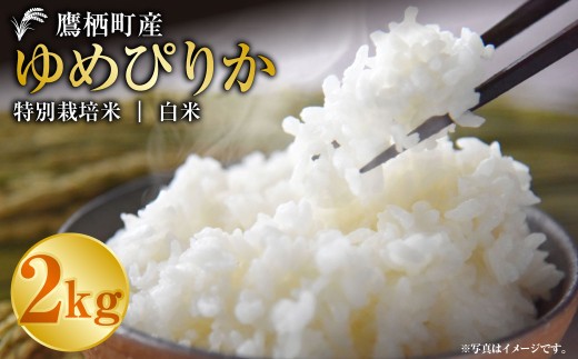 ゆめぴりか（白米）2kg 【令和7年産】 お米 白米 ご飯 ごはん ゆめぴりか 北海道 鷹栖町