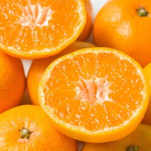 [秀品]和歌山有田みかん約6kg(3Lサイズ)【日高町】【1497900】