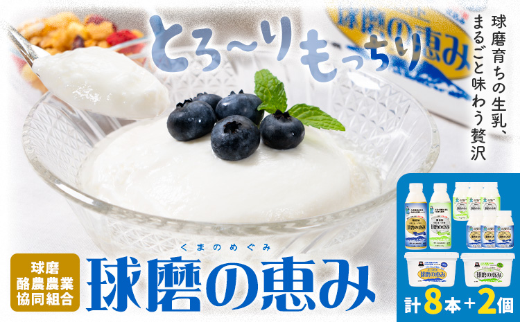 球磨の恵み ヨーグルト 計2個 のむヨーグルト 計8本 堪能セット 球磨酪農農業協同組合《30日以内に出荷予定(土日祝除く)》熊本県 球磨郡 山江村 球磨の恵みヨーグルト 球磨の恵みのむヨーグルト 加