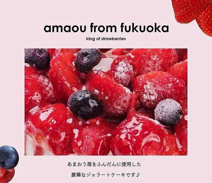 【福岡市】あまおう苺ゴロゴロジェラートアイスケーキ 1個（5号 15cm径）ストロベリーフィールズ | アイス アイスケーキ 冷凍 スイーツ デザート ジェラート 5号 おすすめ 人気 ギフト プレゼ