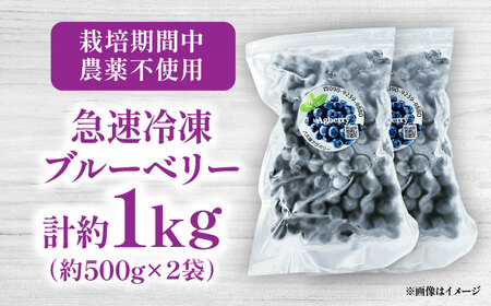 青い宝石 国産 急速冷凍ブルーベリー 計約1kg（約500g×2袋） 果物 くだもの フルーツ ぶるーべりー 熊本県 菊陽町【アグファーム株式会社】[BHCX005]