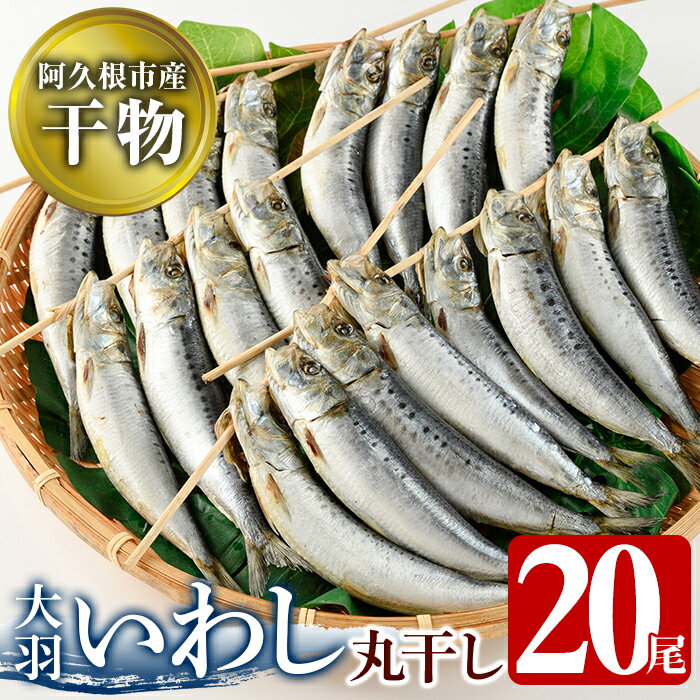 【ふるさと納税】鹿児島県阿久根市産干物！大羽いわし丸干し(20尾)国産 鹿児島県産 魚介 魚貝 海産物 水産加工物 惣菜 簡単調理 セット 小分け【川本商店】akn030-09