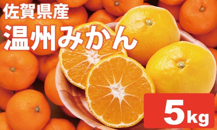 
            【先行予約】 佐賀県産 みかん（5kg）　潮風ファーム 大津 みかん 柑橘 温州みかん 
          