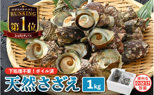 【先行予約】 天然 さざえ ボイル済 13～15個入 1kg（500g × 2袋）産地直送でお届け！【2025年6月10日～9月30日の期間に順次発送】 【越前町産 栄螺 サザエ 冷凍 小分け 海鮮 BBQ バーベキュー】 [e14-a010]