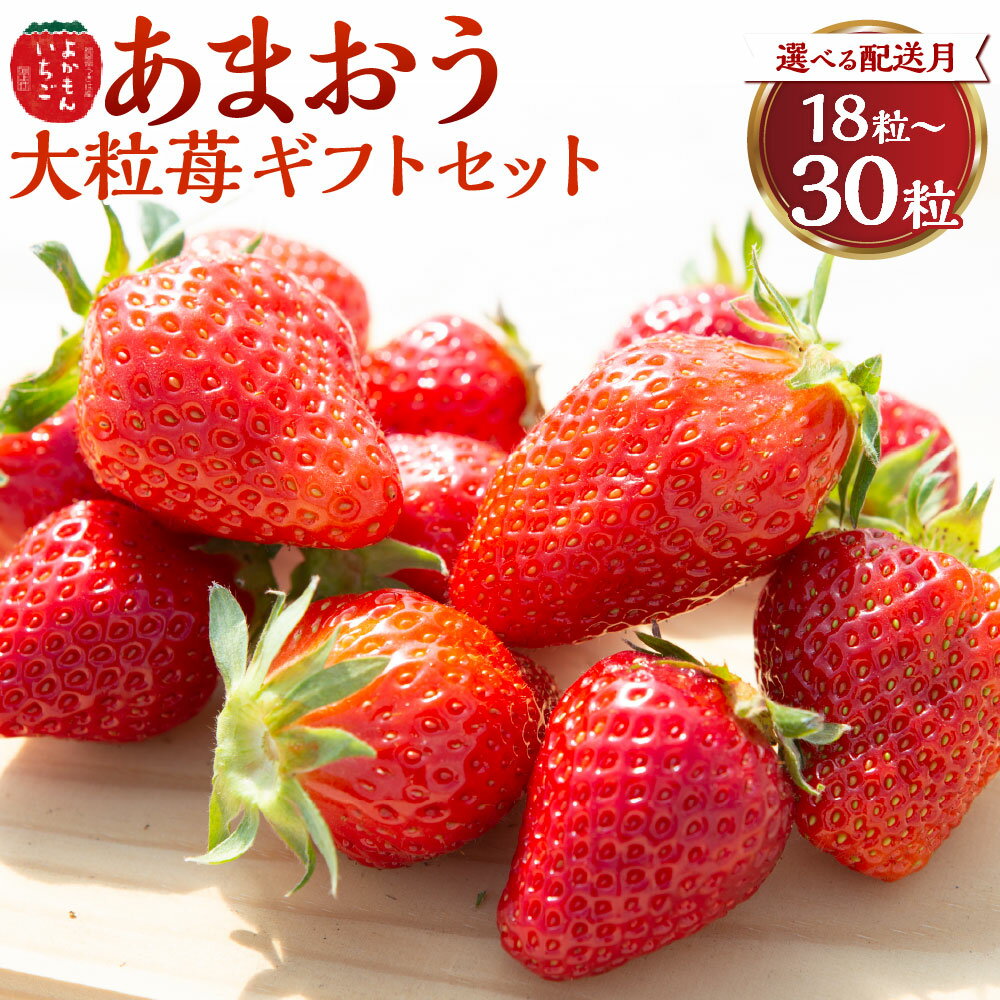 【ふるさと納税】 よかもんいちご あまおう大粒苺のギフトセットB 【2025年12月から2026年4月出荷予定】 フルーツ 果物 果実 送料無料 福岡県 うきは市