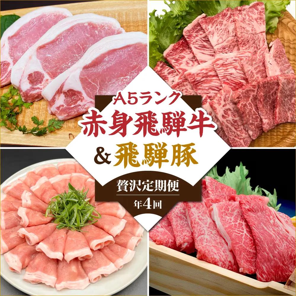 定期便 4回 A5 飛騨牛 ＆ アルプス育ちの 飛騨豚 (すき焼き 焼肉 とんかつ しゃぶしゃぶ )  定期便 HF107