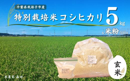 【令和6年産 新米】冷めても美味しい！ 特別栽培米 コシヒカリ 5kg（玄米）と米粉のセット 農家直送 千葉県産