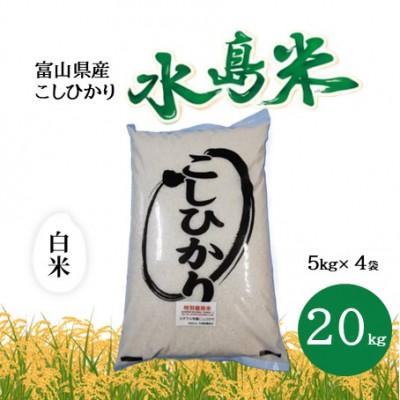 ふるさと納税 小矢部市 栽培期間中農薬・化学肥料不使用　こしひかり　白米 5kg×4袋(20kg)