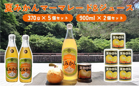 みかん 加工品 セット 萩名産 夏みかん マーマレード 370g×5個 ＆ 夏みかん ジュース 900ml×2本 柑橘類