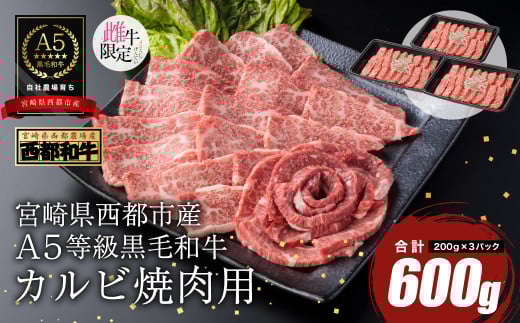 【最高品質A5等級 西都和牛】黒毛和牛カルビ焼肉600ｇ（200ｇ×3）宮崎県産＜1.9-5＞【カミチクファーム】牛肉 肉 ビーフ 焼肉 宮崎県西都市