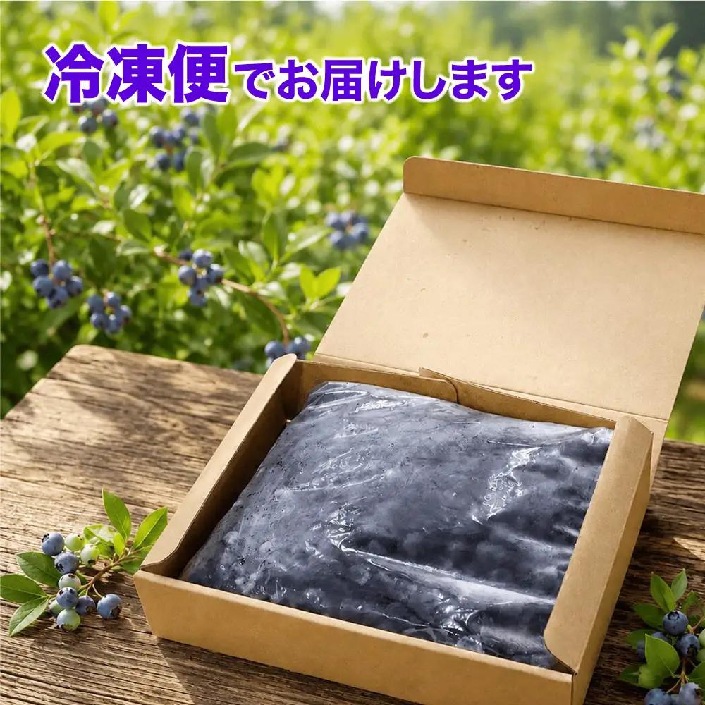 冷凍ブルーベリー 1kg [ku001-1kg] ベリー