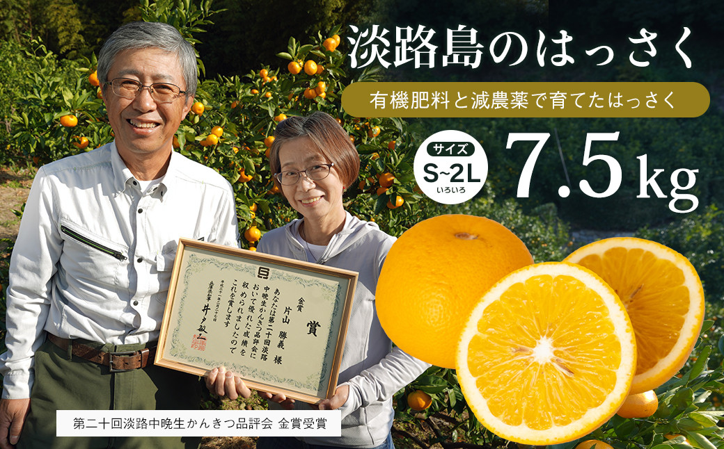 
片山農園の淡路島のはっさく7.5kg【サイズいろいろS～2Lサイズ】【発送時期2025年2月頃~4月頃】
