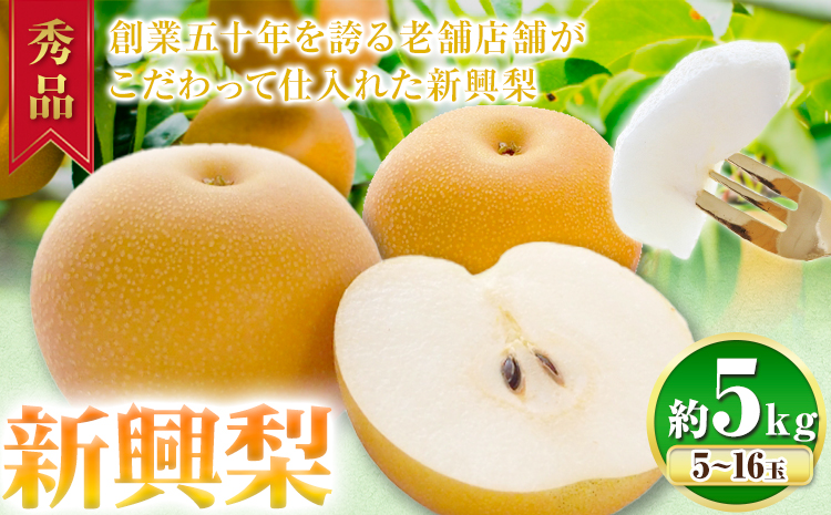 【2026年先行予約】秀品 新興梨 約5kg (5〜16玉) 高間商店《2026年10月上旬-12月上旬頃出荷》鳥取県 八頭町 梨 なし ナシ 果物 フルーツ 秀品 高間商店 新興梨 ふるさと納税 甘い 果汁 果実 くだものst-p