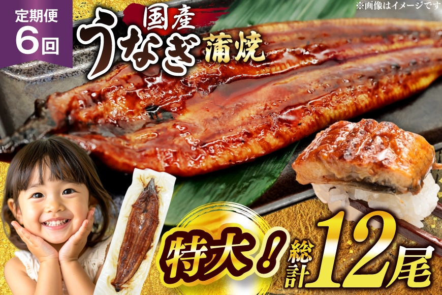 
                  うなぎ 国産 蒲焼 特大 肉厚 約200g 2尾 計400g以上 6回 定期便 総計約2.4kg 小分け 【有頭】[大黒物産 福岡県 宇美町 um40bak830019] タレ 山椒付 ウナギ 鰻 不揃い 規格外 九州産 鹿児島 宮崎 うなぎ蒲焼 鰻蒲焼き 蒲焼き かば焼き 真空パック 個包装 冷凍 unagi 72000円 72000
                