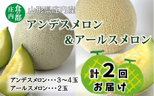 
                  【令和8年産】食の都庄内 ジューシー！メロン2回定期便※2026年7月上旬頃より発送開始予定
                