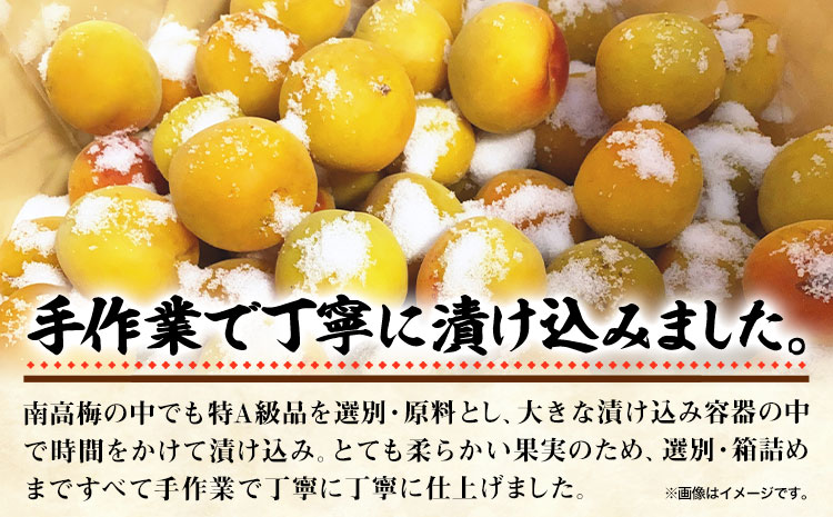 梅干し はちみつ梅干し 1kg 大玉 3L 和歌山県産 株式会社とち亀物産 《30日以内に出荷予定(土日祝除く)》 和歌山県 日高町 梅 うめ はちみつ梅 蜂蜜 梅干し うめぼし 紀州南高梅 漬物 漬