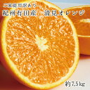 【ふるさと納税】 【ご家庭用訳アリ】紀州有田産清見オレンジ 7.5kg ※2025年3月下旬～2025年4月中旬頃に順次発送予定(お届け日指定不可)