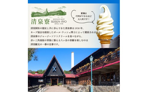 清泉寮ジャージーゴーダチーズ 100g×2個　チーズ ゴーダチーズ 100g×2個 清里 清泉寮牧場 有機ジャージー 有機JAS認証取得 ジャージー牛乳 低温殺菌処理 清里 山梨県 北杜市産