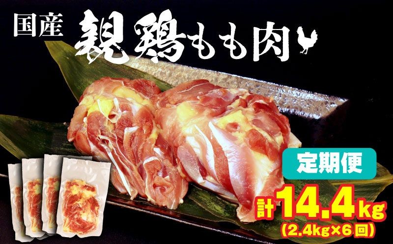 
                  6ヶ月連続 定期便 計14.4kg 親鶏 もも肉 定期便 2.4kg×6回 200g×72パック 鶏肉 鶏 チキン タンパク もも 肉 とり にく お家ごはん 国産 親鳥 鳥肉 精肉 父の日 ブランド鶏 鍋 汁物 郷土食 親鶏 冷凍 小分け 親どり 親鳥 マルコ岩村 新潟県 新発田市 maruco3000
                