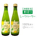 【ふるさと納税】沖縄県産青切りシークヮーサー100％果汁（2本セット）