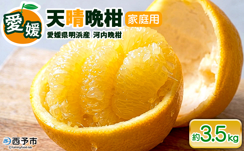 【先行予約】＜天晴晩柑（河内晩柑）約3.5kg 愛媛県明浜産 ＞『2027年4月上旬～5月下旬迄に順次出荷予定』家庭用 果物 柑橘 みかん 和製 グレープフルーツ 食べて応援 特産品 愛媛県 西予市【常温】