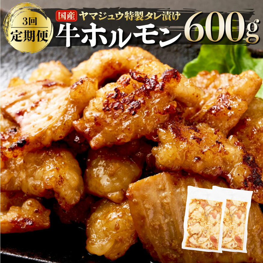 【ふるさと納税】ヤマジュウの特選タレ漬け！国産牛ホルモン600g【3回定期便】 国産 牛 ホルモン 焼肉 味付き 送料無料 yj084