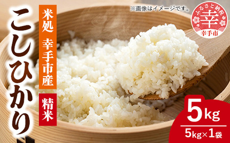 令和6年幸手産 こしひかり【精米】5㎏×1袋 - コシヒカリ 精米 5kg 令和６年産 埼玉県 幸手市 幸手市産