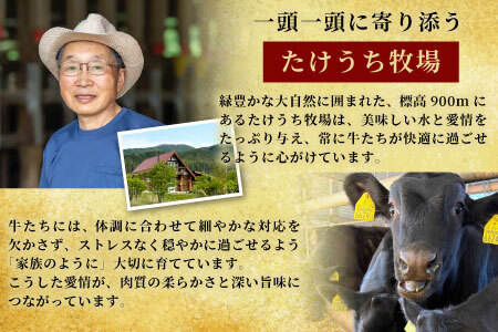 酒粕育ち 幻の牛 段戸山高原牛 切り落とし  400g（200g×2） 牛肉 国産牛 肉じゃが 蓬莱泉 牛丼 -071