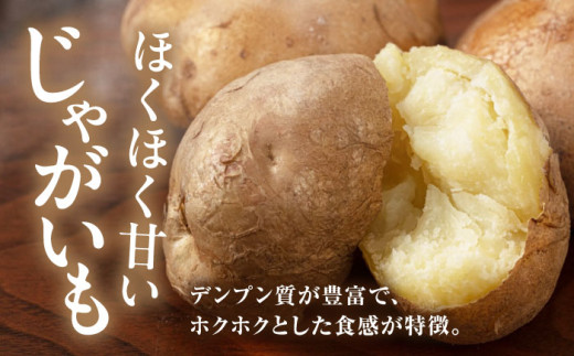 キタアカリ・玉ねぎセット 計20kg 北海道 じゃがいも ジャガイモ 玉ねぎ キタアカリ 季節の野菜 産地直送