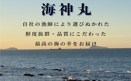 【3ヶ月毎定期便】 平貝 (タイラギ) 全4回 5個×4回 20個 冷凍 平貝 タイラギ 貝 魚貝類 魚貝 タイラガイ 魚介 貝類 冷凍