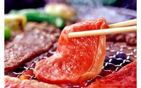 【桜屋】定期便 3回 GI 認定ブランド牛 焼肉用 500g 国産 熊本県産 地理的表示 くまもとあか牛 褐毛和種 あかげわしゅ ブランド牛 熊本県認定 和牛 あか牛 焼肉 BBQ 炒め物 希少 阿蘇