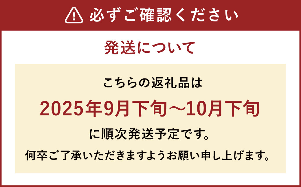 新興梨 9～12玉 約5kg ナシ 梨 福岡県産