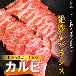 焼肉 セット 1.4kg 阿波牛 焼肉