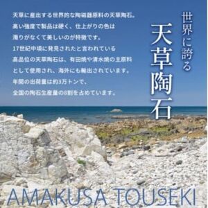 内田皿山焼 しのぎフリーカップ 2個セット | 工芸品 伝統工芸品 陶器 志岐粘土 しのぎ 食器 湯呑 カップ セット 2個 熊本県 苓北町