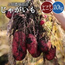 【ふるさと納税】じゃがいも レッドムーン 10kg SS～3L サイズ混合 芋 ジャガイモ ポテト 赤い皮 オンライン 申請 ふるさと納税 北海道 中標津 野菜 産地直送 新鮮 採れたて 煮込み料理 ポテトサラダ フライドポテト 10キロ【66005】