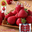 【ふるさと納税】＜埼玉県本庄市産＞ 久米原農園 あまりん（250g × 2パック）2025年発送 先行予約も受付中 新品種 あまりん いちご イチゴ 苺 ストロベリー 果物 くだもの フルーツ デザート 食品 関東 F5K-033var