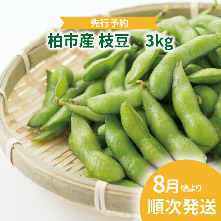 【ふるさと納税】【オンライン決済限定】柏産 枝豆 3kg 〈先行予約 2026年8月順次発送〉セット 野菜 国産 千葉県産 柏市産 予約 おいしい 新鮮 おつまみ 弁当 プレゼント 父の日 母の日 おすすめ 夏野菜 産地直送 　お届け：2026年8月1日～8月31日まで