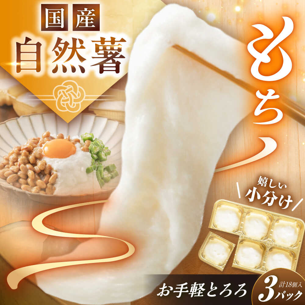 【ふるさと納税】自然薯冷凍とろろ（180g×3）540g / 自然薯 とろろ 山芋 やまいも 小分け 冷凍 / 恵那市 / 水戸屋[AUFZ003]