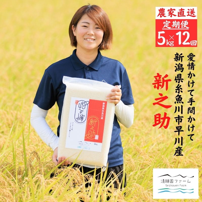 【ふるさと納税】 令和7年産 『新之助』【12ヶ月定期便】 5kg×12回 毎月お届け (計60kg) 真空パック 農家直送 新潟県産 新潟 糸魚川 清耕園ファーム 美味しい 農家自慢 お米 白米 おにぎり お弁当 大粒 ツヤ 甘み 深い味わい 粘り 弾力 米