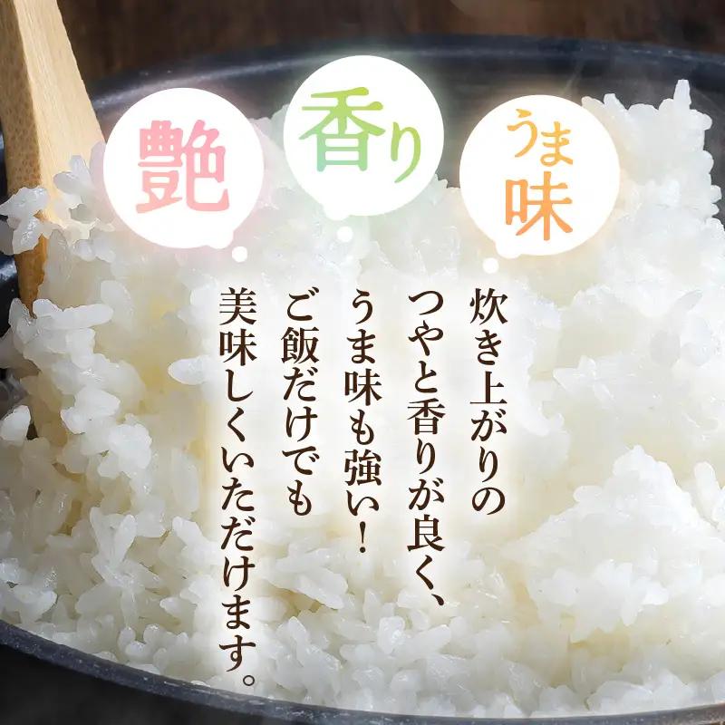 令和7年産  5kg 精米 コシヒカリ 福井県産《14日以内に出荷予定》 [e66-a015]