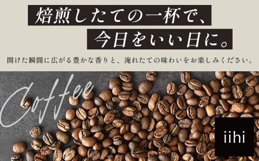 【ふるさとロースターが焙煎したてをお届け！】iihiコーヒー コーヒー豆 100g×10P セット 常温｜コーヒー 珈琲 コーヒー豆 ブレンドコーヒー 自家焙煎 詰め合わせ 飲み比べ 中深煎り 焙煎 