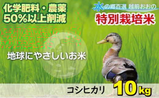 【先行予約】【令和7年産 新米】こしひかり 10kg【白米】減農薬・減化学肥料 「特別栽培米」－地球にやさしいお米－