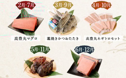【5回定期便】海からの贈り物!マグロとカツオのお楽しみセット まぐろ カツオのたたき ネギトロ  刺身 海産物 魚介類 鮪 まぐろたたき 鰹 魚 高知県 海鮮 冷凍 コロナ 緊急支援品 訳あり 不揃い