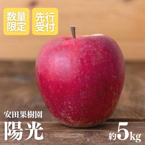 【ふるさと納税】No.0842 りんご　陽光　約5kg【2025年度発送】