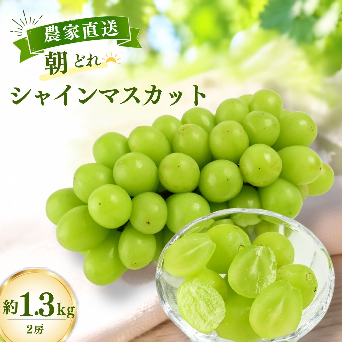 【ふるさと納税】【農家直送（収穫日に発送）】シャインマスカット 約1.3kg(2房入り) | シャインマスカット ぶどう マスカット ブドウ 農家直送 収穫日発送 新鮮 フルーツ 果物 お取り寄せ 季節限定 愛知県 豊田市