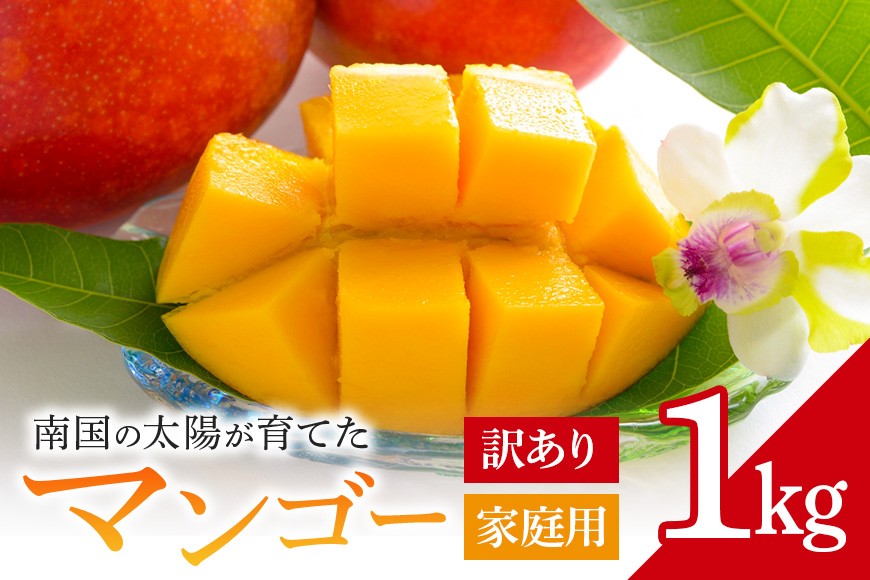 
                  【先行予約 2026年発送】訳あり/家庭用 マンゴー 1kg 沖縄県産 選べる 訳あり 家庭用 完熟マンゴー 1キロ 訳アリ 自宅用 国産 訳ありマンゴー 家庭用マンゴー 果物 南国 くだもの フルーツ 完熟 夏 旬 特産品 沖縄 取り寄せ 産地直送 農家直送 甘い 濃厚 糸満市
                