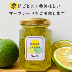 ジャム 詰め合わせ 無添加 マーマレード 旬 3種 セット 160g×3本 柑橘 みかん オレンジ トースト ヨーグルト パン 朝食 贈答用 ギフト プレゼント　（ ｼﾞｬﾑ ｼﾞｬﾑ ｼﾞｬﾑ ｼﾞ