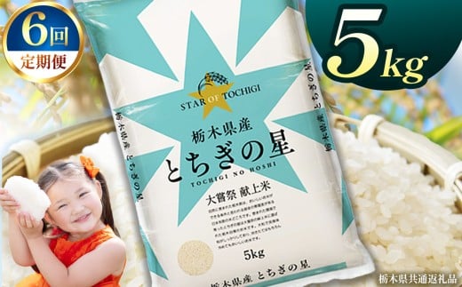【定期便6回】栃木県産とちぎの星 5kg | 2025年 2025年米 令和7年米 秋 白米 ごはん ご飯 小分け 人気 おいしい 旨い おにぎり おむすび お弁当 限定 栃木県共通返礼品 栃木県 下野市 送料無料