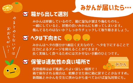 【訳あり】熊本県産 温州みかん 約9kg 味采市場